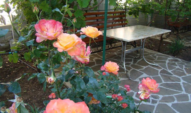 Гостевой дом "ВИКТОРиЯ" Николаевка