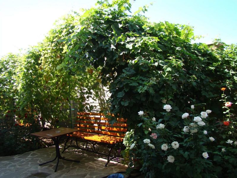 Гостевой дом "ВИКТОРиЯ" Николаевка